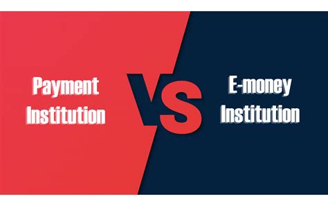 payment institution and e-money institution